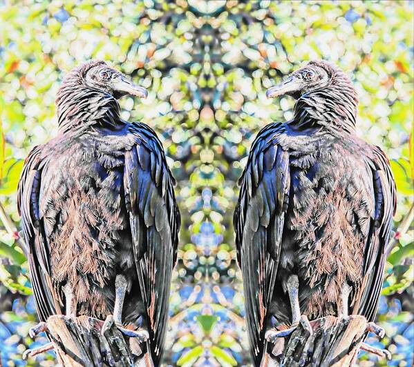 Bird Art Print featuring the photograph Double Trouble by Stoney Lawrentz