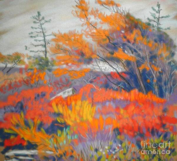 Pastels Art Print featuring the pastel Peggy's cove Barrens by Rae Smith PAC