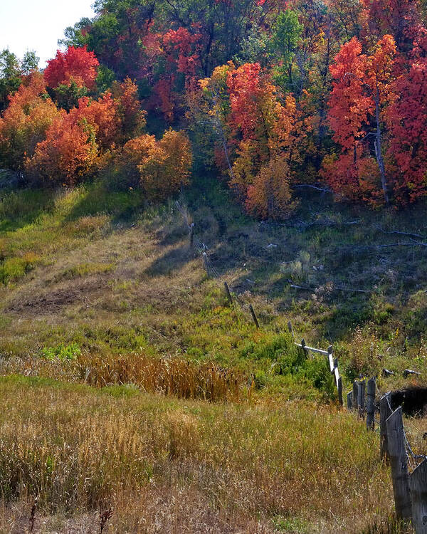 Utah Art Print featuring the photograph Fall Fence Line 12052 #1 by Jerry Sodorff