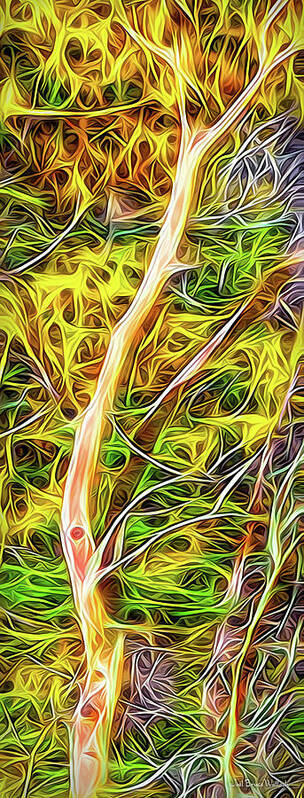 Joelbrucewallach Art Print featuring the digital art Flowing Trees - Abstract by Joel Bruce Wallach