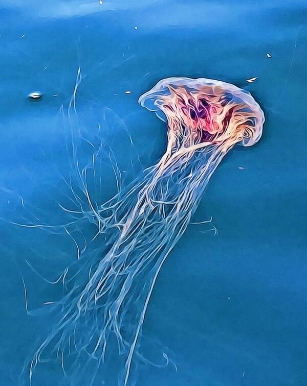 Jellyfish digital art by Tatiana Travelways