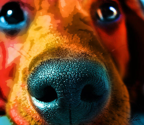 Dog Art Print featuring the mixed media Nosy by Shevon Johnson