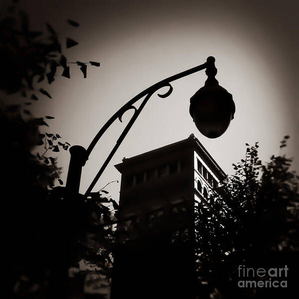 Memphis Art Print featuring the photograph Dark in the Light Memphis Tennessee by T Lowry Wilson