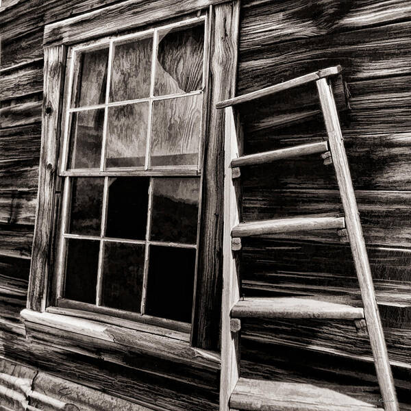  Art Print featuring the photograph Window And Ladder by Blake Richards