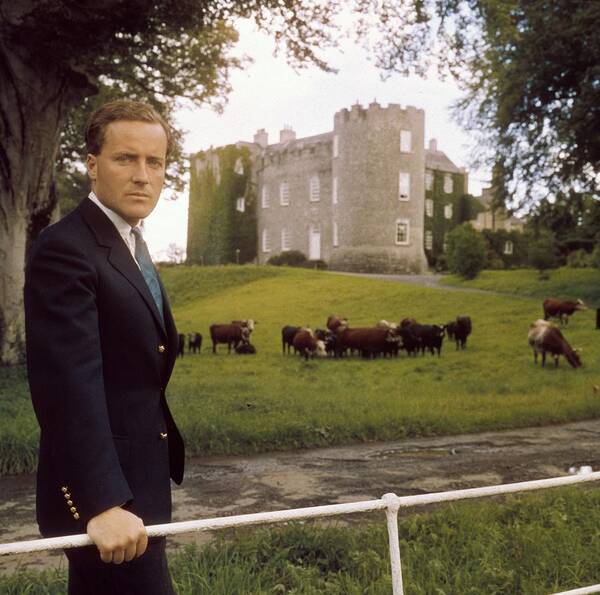 County Kildare Art Print featuring the photograph Guinness At Leixlip by Slim Aarons