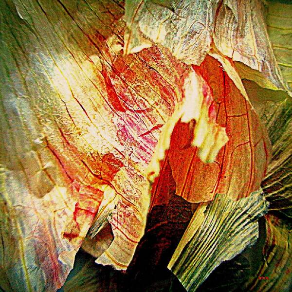 Garlic Peel Art Print featuring the photograph Garlic Peel Celebrated by VIVA Anderson