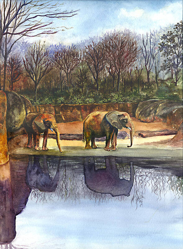 Elephants Painting Art Print featuring the painting Reflecting Wisdom by Terri Meyer