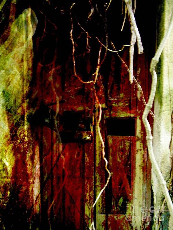 Ghost Art Print featuring the digital art Old Door Set Four by Kathy Daxon