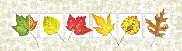 Leaf Art Print featuring the painting Fall Leaf Panel #1 by JQ Licensing