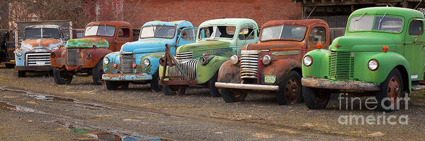 Dave's Old Truck Rescue Art Print featuring the photograph Old Buddies by Idaho Scenic Images Linda Lantzy