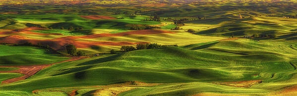 Palouse Art Print featuring the photograph Palouse by Thomas Hall