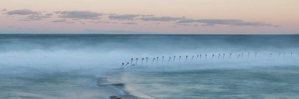 Australia Art Print featuring the photograph Spirit Of The Ocean by Az Jackson