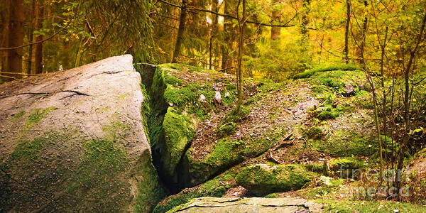 Forest Art Print featuring the photograph Stony Woods panoramic by Lutz Baar
