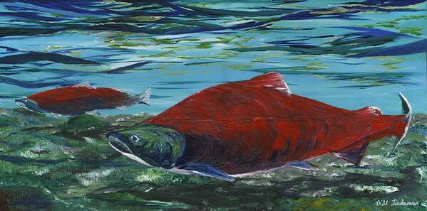 Red Salmon Art Print featuring the painting Red Salmon by Will Tiedeman