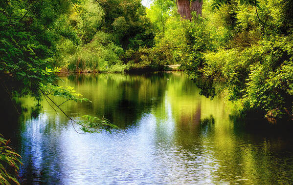 El Dorado Nature Center Art Print featuring the photograph A Place for Peace by Joseph Hollingsworth