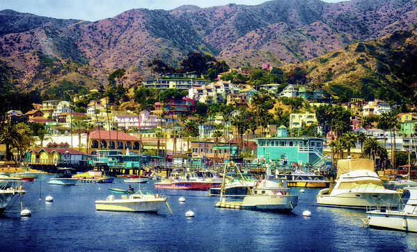 Catalina Island Art Print featuring the photograph Catalina Express View by Joseph Hollingsworth