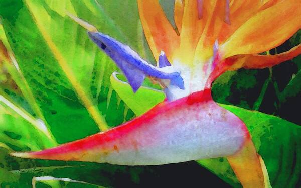 Bird Of Paradise Art Print featuring the digital art Natural High by James Temple