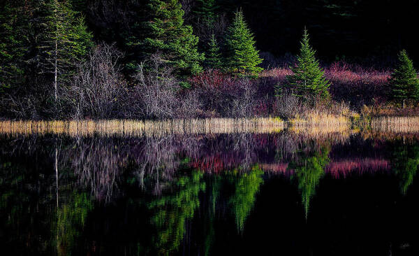 Canada Art Print featuring the photograph Mauve Echo by Doug Gibbons