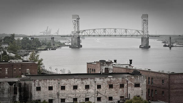 Wilmington Art Print featuring the photograph Cape Fear River - Photography by Jo Ann Tomaselli by Jo Ann Tomaselli