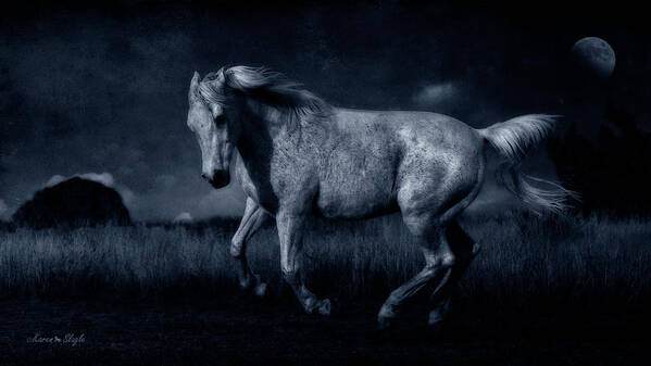 By The Light Of The Silvery Moon Art Print featuring the photograph By the Light of the Silvery Moon #1 by Karen Slagle