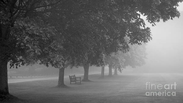 Park Art Print featuring the photograph Park Bench in the mist by Richard Thomas