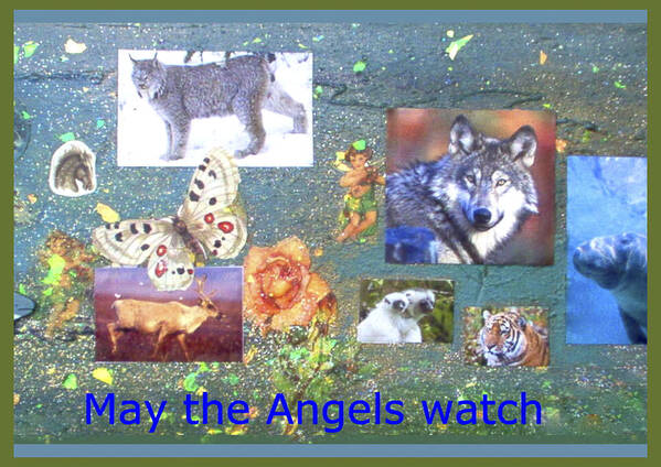 Ecology Art Print featuring the mixed media May the Angels Watch #1 by Mary Ann Leitch