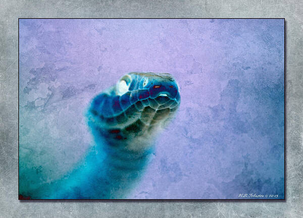 Snake Art Print featuring the photograph Aqua Serpent 4 by WB Johnston
