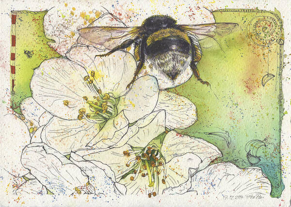 Bee Art Print featuring the painting Bumble Bee and Cherry Blossom by Petra Rau