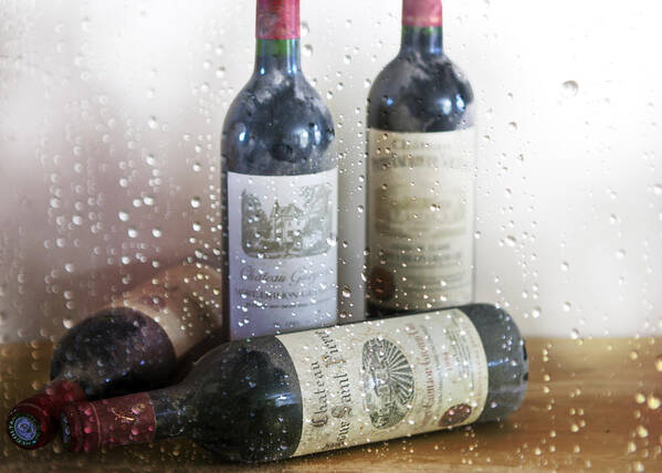 Saint Emilion Wine Art Print featuring the photograph Fine Wine on a Rainy Afternoon by Georgia Clare
