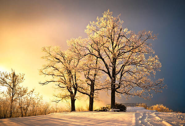 Winter Art Print featuring the photograph Luminous - Blue Ridge Winter Sunset by Dave Allen