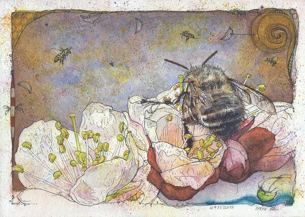 Bees Art Print featuring the painting No Bees - No Apricots by Petra Rau