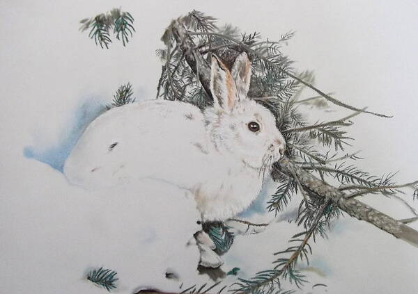 Winter Time Snowshoe Rabbit (bunny Art Print featuring the pastel Blending In by Turea Grice