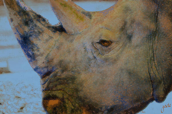 Rhinoceros Art Print featuring the photograph Afternoon by Jade Knights