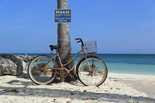 Landscape Art Print featuring the photograph Art Bike by R B Harper