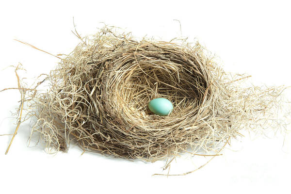 Art Art Print featuring the photograph Bird Nest 2 by Jo Ann Tomaselli