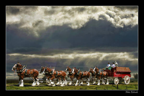 Budweiser Clydesdales Art Print featuring the photograph Budweiser Clydesdales by Blake Richards