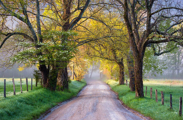 Cades Cove Art Print featuring the photograph Cades Cove Great Smoky Mountains National Park - Sparks Lane by Dave Allen