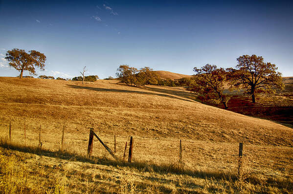 Rolling Hills Art Print featuring the photograph California Route 154 by Joseph Hollingsworth