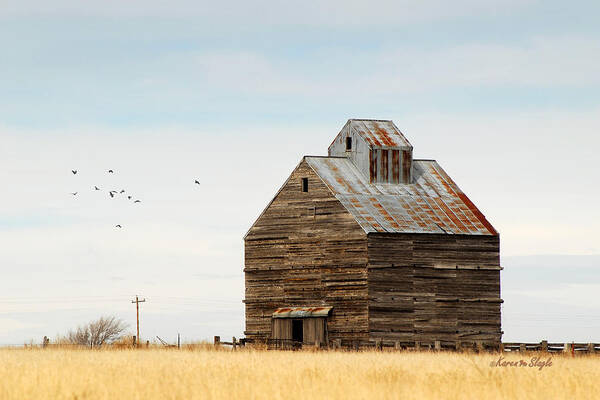 Texas Art Print featuring the photograph High Plains Autumn by Karen Slagle