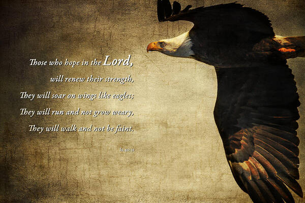Isaiah 40:31 Art Print featuring the photograph Isaiah 40 31 by Eleanor Abramson