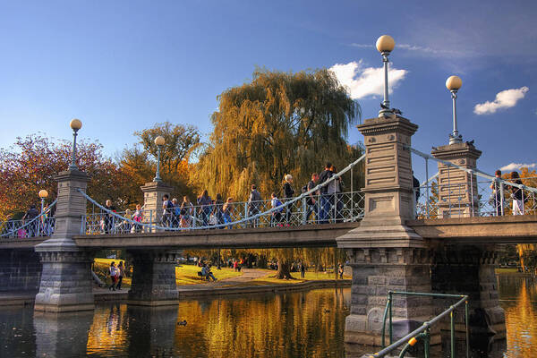 Willow Art Print featuring the photograph Lagoon Bridge in Autumn by Joann Vitali
