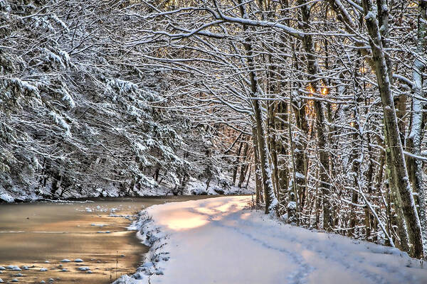 Nature Art Print featuring the photograph Late Afternoon in the Snow by Eleanor Abramson