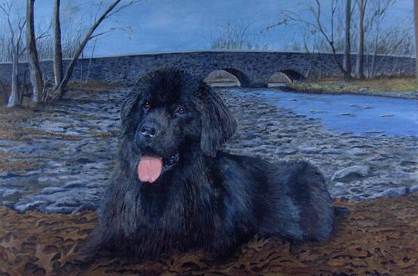 Newfoundland Art Print featuring the painting Lisa's Newfie by Haldy Gifford