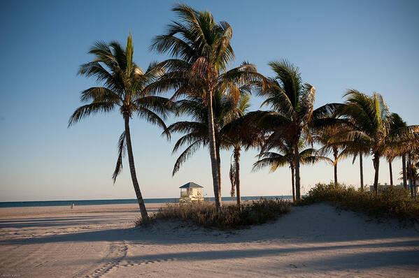 Palm Trees White Lifeguard Stand Art Print featuring the photograph Peaceful by Robert Klemm