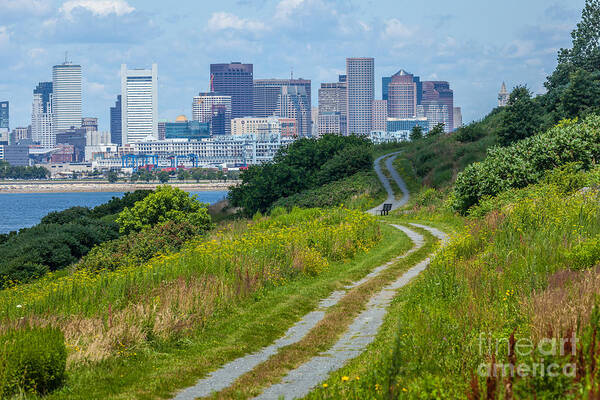 America Art Print featuring the photograph Spectacle Island View of Boston by Susan Cole Kelly