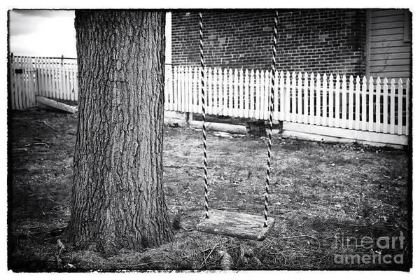 The Swing Art Print featuring the photograph The Swing by John Rizzuto