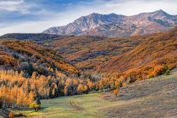 Wasatch Mountains Art Print featuring the photograph Wasatch Moutains Utah by Douglas Pulsipher