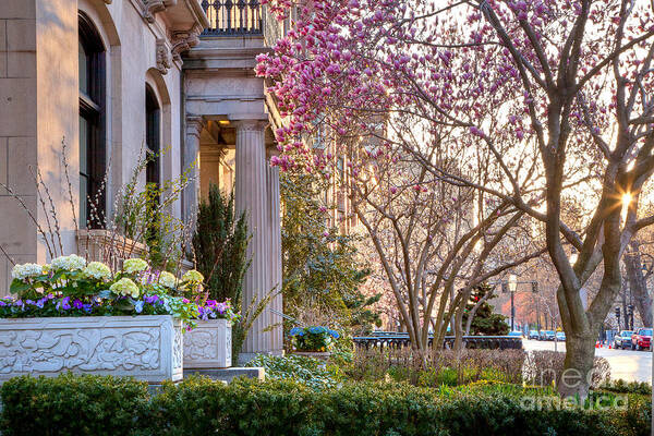 April Art Print featuring the photograph Back Bay Spring by Susan Cole Kelly