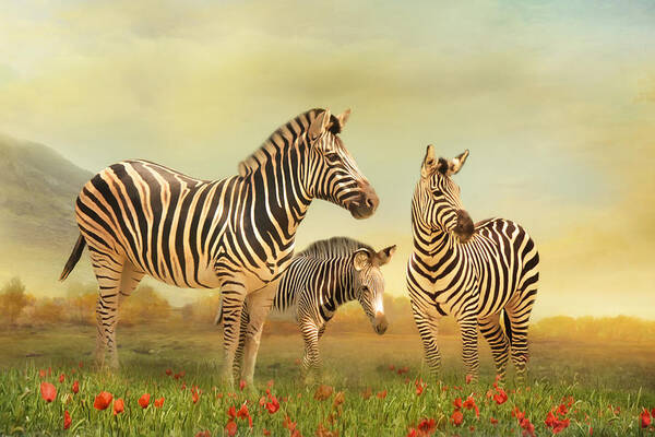 Zebra Art Print featuring the digital art Family Ties by Trudi Simmonds