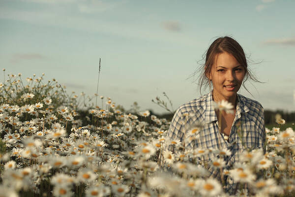  Daisies Art Print featuring the photograph Chamomile by Vadim Grabbe